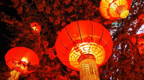 Nanwanhua Town Lantern Festival