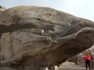 Fish Stone