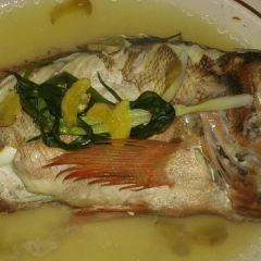Shenhai Fishing Port User Photo