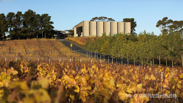 Museum of Old and New Art