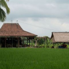 Sweet Orange Warung User Photo