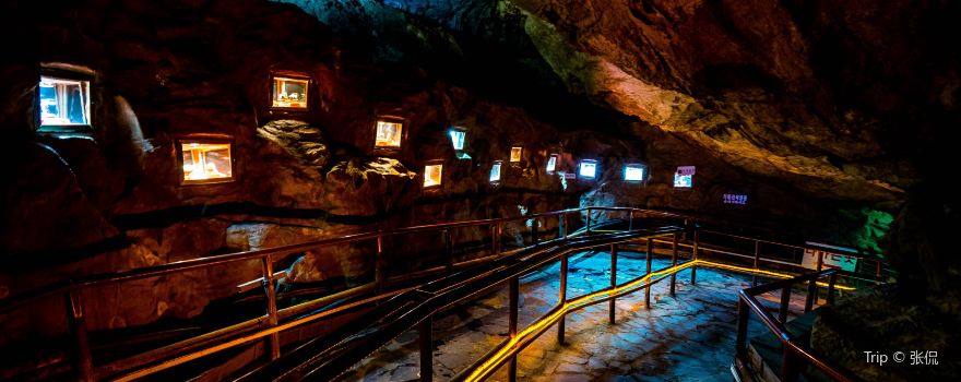 Cheongok Golden Bat Cave