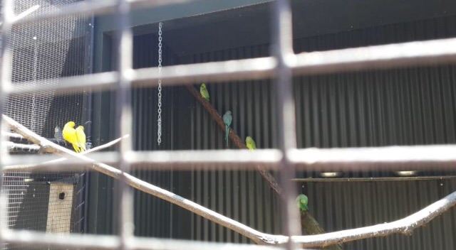 彩虹泉自然公園