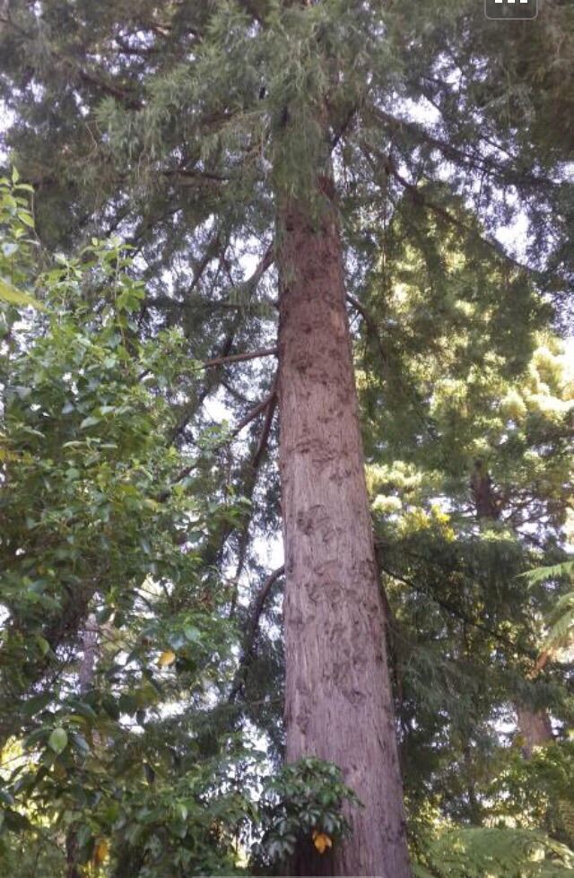 彩虹泉自然公園