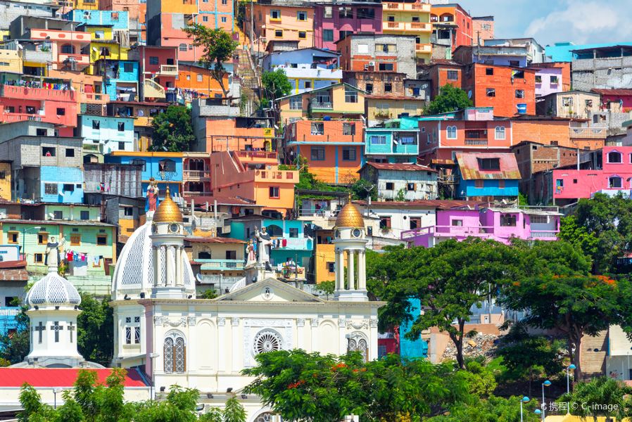 Ankara to Guayaquil Flights