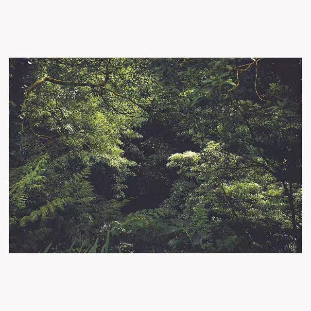 즈장 관광단지