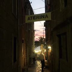 Aterina User Photo