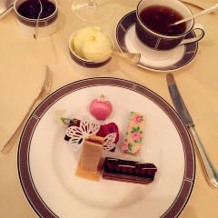 Palm Court User Photo