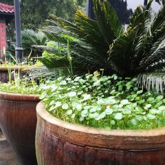 JADE YARD User Photo