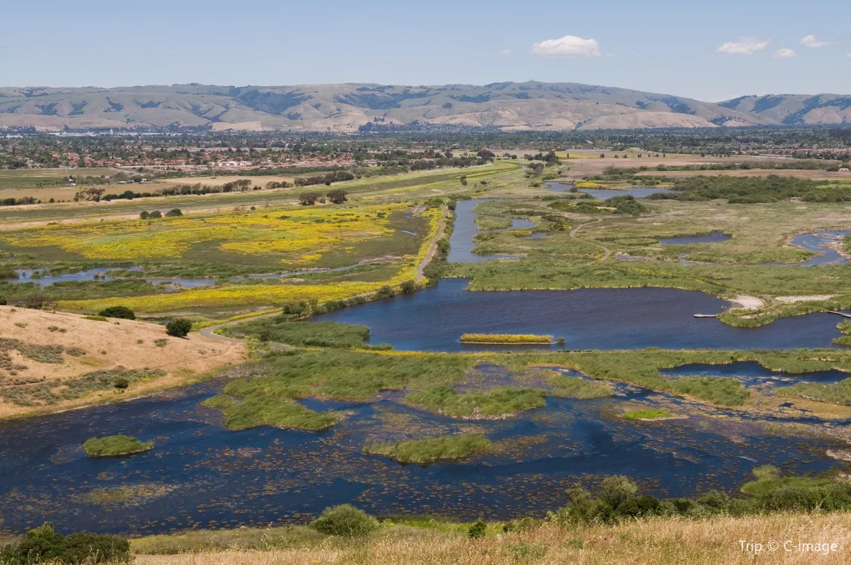 5_Coyote Hills Regional Park