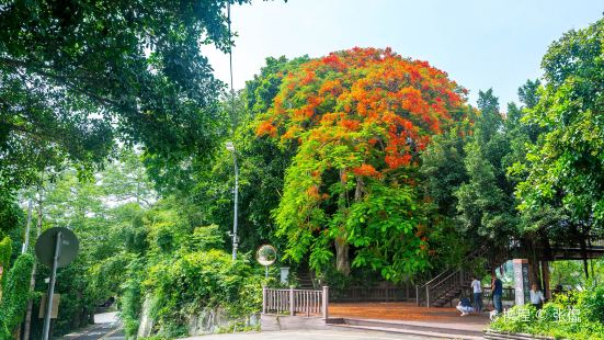 青草湖