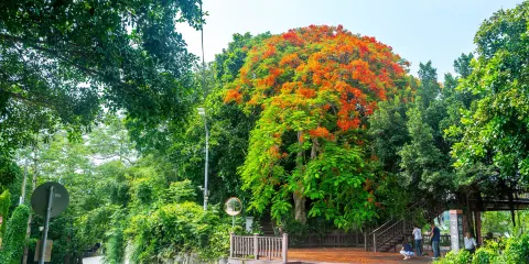 青草湖
