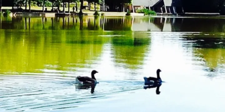 Cafe-Resto la Pinçonniere