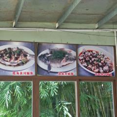 江边河鲜 User Photo