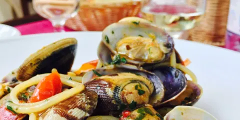 il giardino di bacco