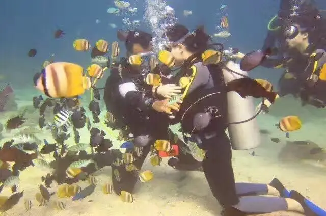 北海潛水