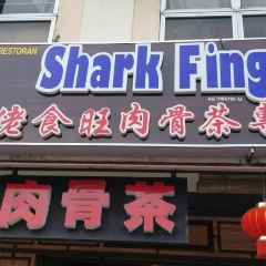Restaurant Shark Fing User Photo