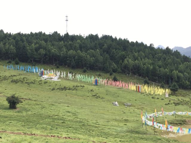 둥구