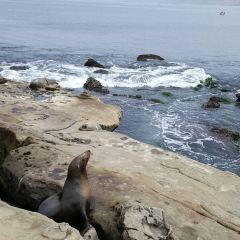THE MARINE ROOM 여행 사진