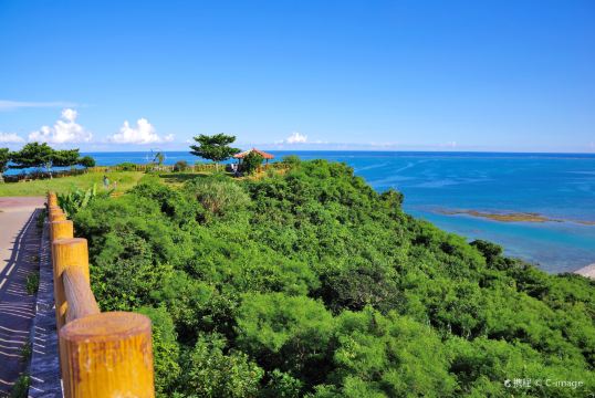 貸切チャーター 沖縄中南部日帰りツアー 首里城 ひめゆりの塔 知念岬 おきなわワールド プライベートツアー ホテル送迎 Trip Com