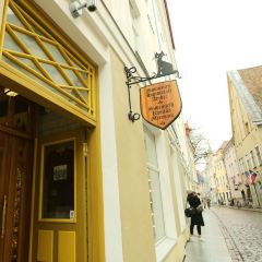 Maiasmokk Cafe User Photo