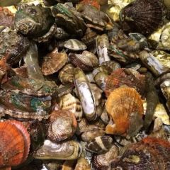 宝龙大锅海鲜(栈桥店) User Photo