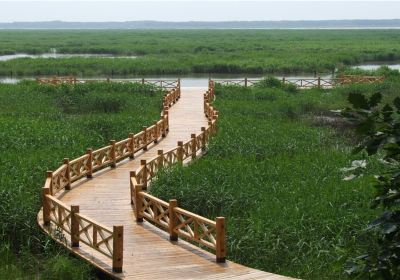 Xingkai Lake New Kailiu Scenic Area