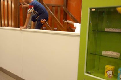 德克士(枫亭步行街店)