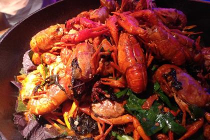 WA LAI DA MA DENG DIAN