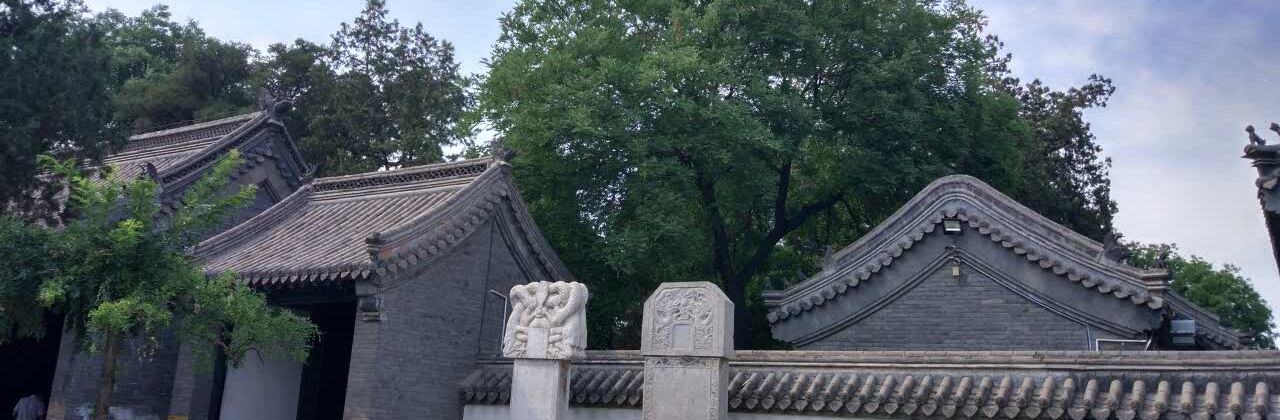 Xiaofangniuhebeicai (junxiao)