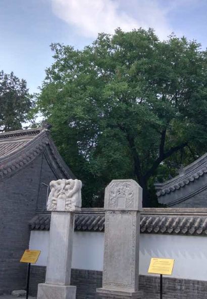 Xiaofangniuhebeicai (junxiao)