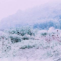 义远有机农场餐厅 User Photo
