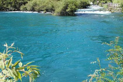 大喜來蛋糕(清一店)