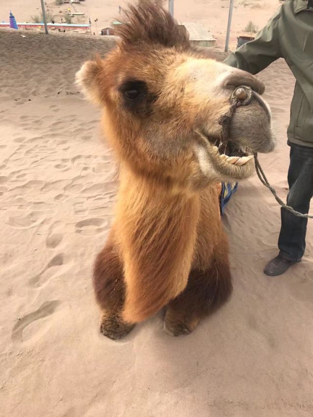장예 국립사막 체육공원