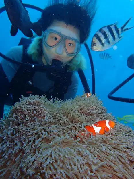 Scuba Diving in Okinawa
