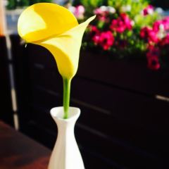 SAVVA User Photo