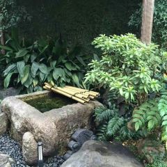 Chojiya User Photo