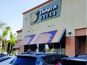 Panera Bread