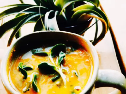 Life Alive Organic Cafe Salem