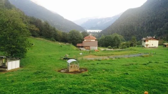 Azienda Agricola Batisti