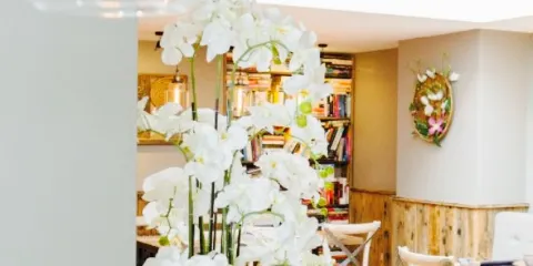 Giggling Squid Brentwood