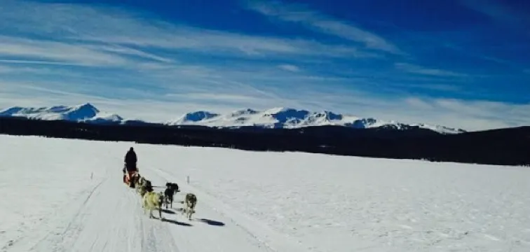Silver Dollar Saloon