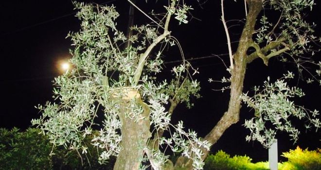 Ristorante Antica Pieve