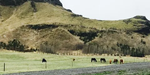 Restaurant at Hotel Geirland