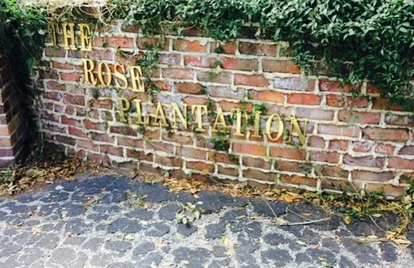 The Rose Plantation