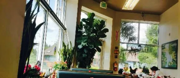 Mashita Teriyaki III