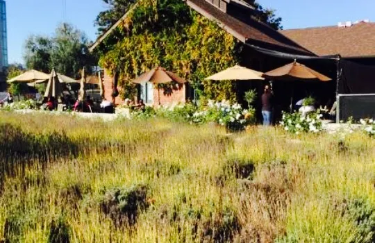 Tootsie's At The Stanford Barn