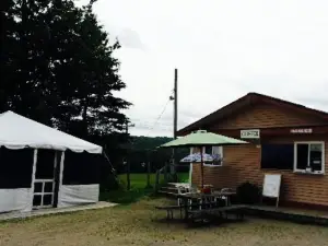 Ursula's