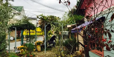 Louijiana Mama Kameokaten