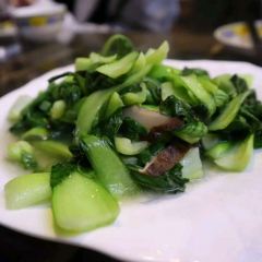 MENG LI SHUI XIANG NONG JIA CAI User Photo